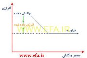 واکنش های گرماگیر و گرماده و هر چیزی که لازم است درباره آنها بدانید