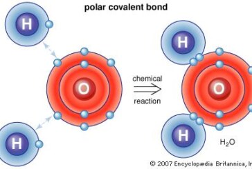 چگونگی تشکیل پیوند کووالانسی در نافلزات با نظریه پیوند والانس (لوویس)