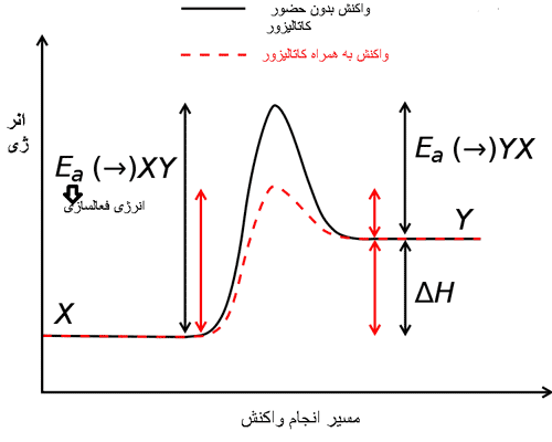 جزوه نمودارهای غلظت و سرعت واکنش ها بخش سینتیک شیمیایی